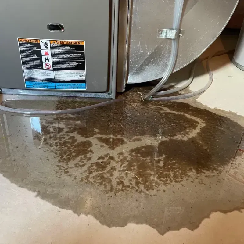 Appliance Leak Cleanup in Burton, MI